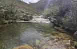 Xurés en Lobios