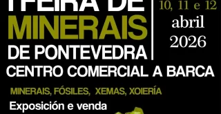 Feria de Minerales de Pontevedra